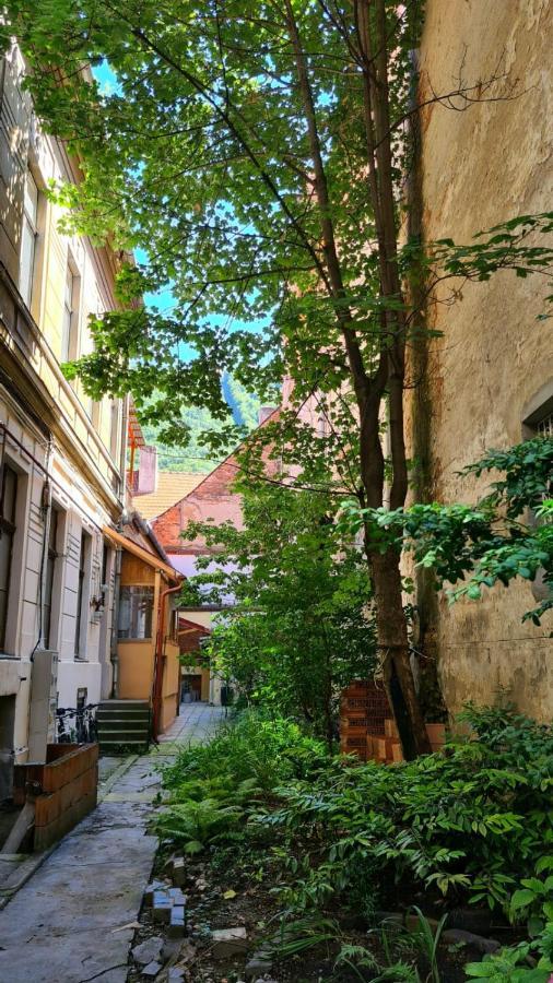 Zeiss House Apartamento Braşov Exterior foto